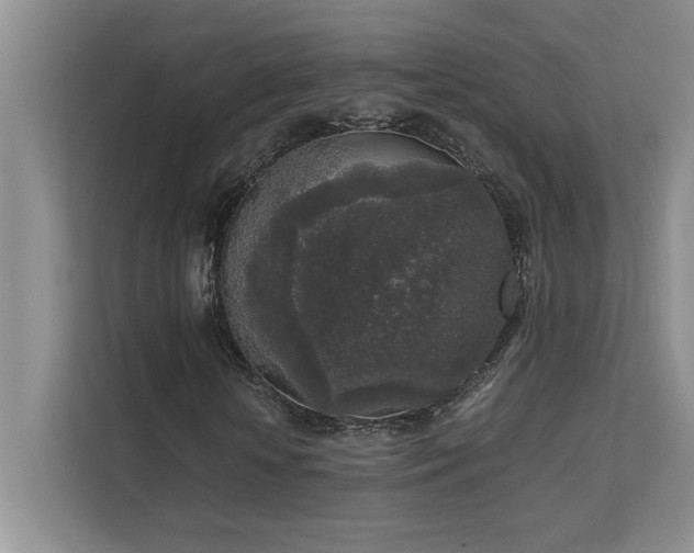 X0000111630818200907171525