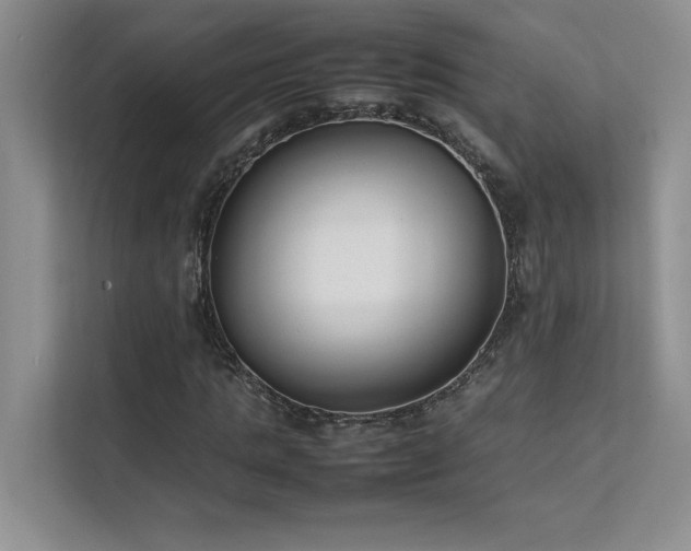 X0000111630821200907171525