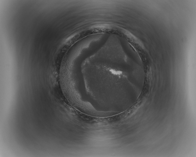 X0000111630822200907171525