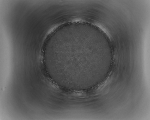 X0000111630823200907171525