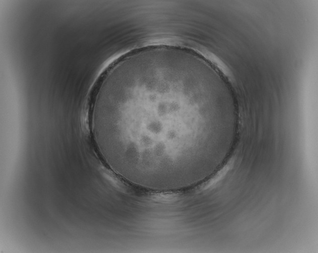 X0000111630830200907171525