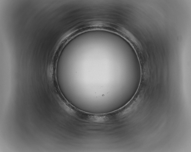 X0000111630831200907171525
