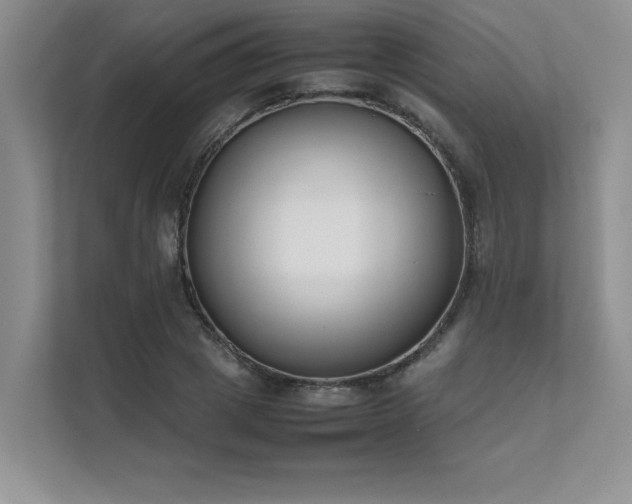 X0000111630833200907171525