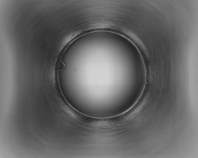 X0000111630834200907171525