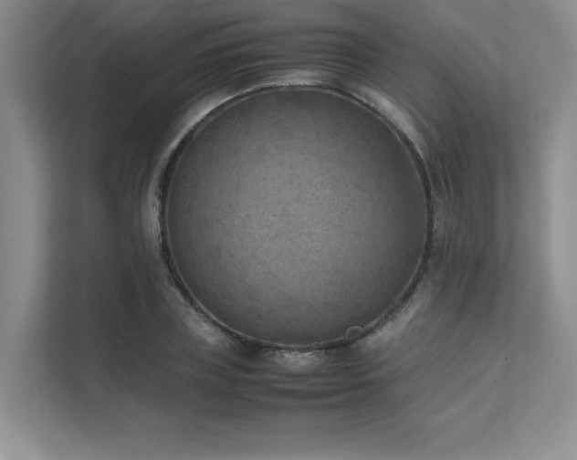 X0000111630835200907171525