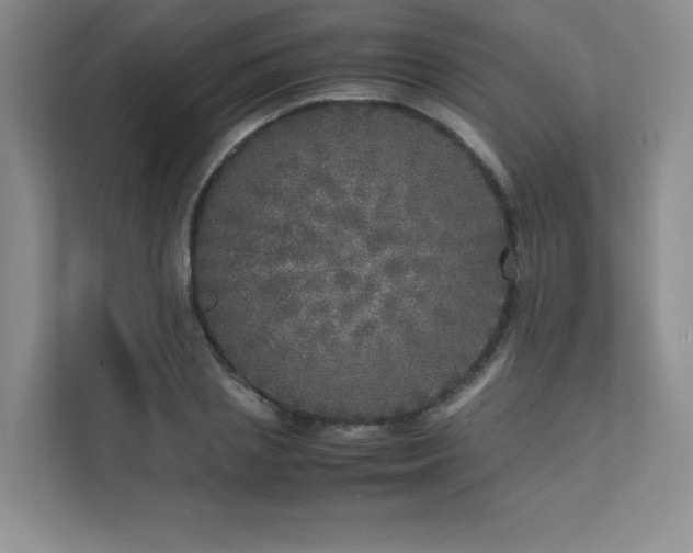 X0000111630837200907171525
