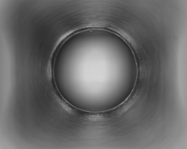 X0000111630838200907171525