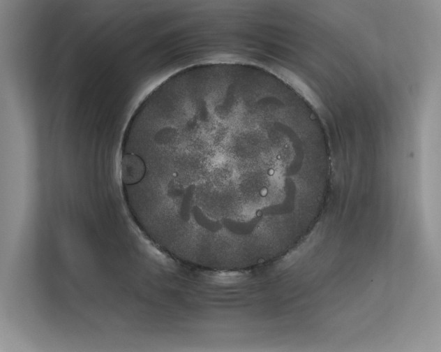 X0000111630839200907171525