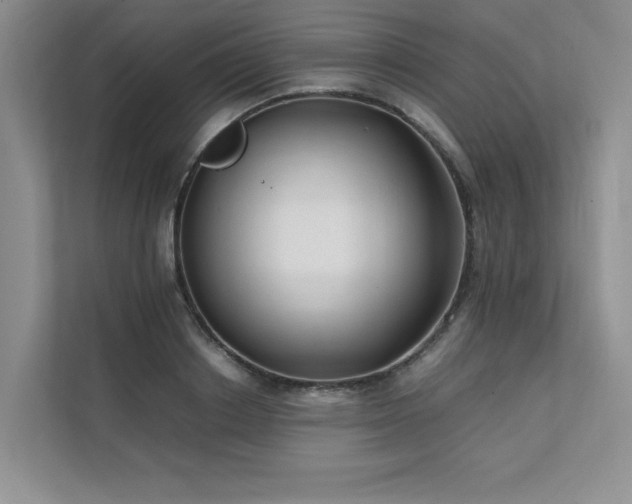 X0000111630842200907171525
