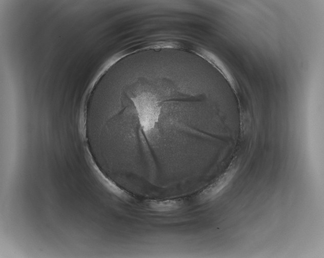X0000111630851200907171525