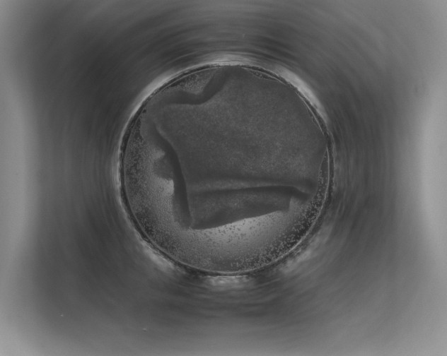 X0000111630853200907171525