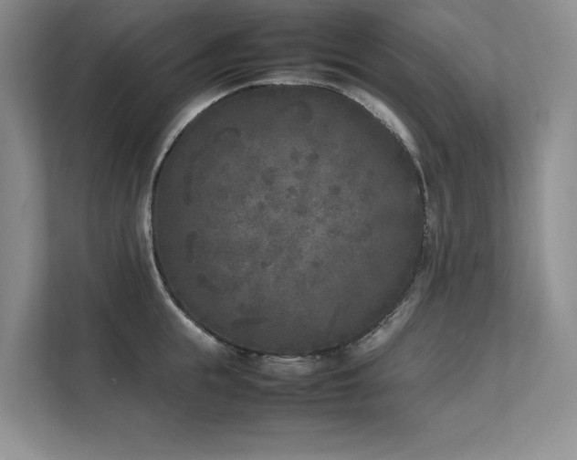 X0000111630855200907171525