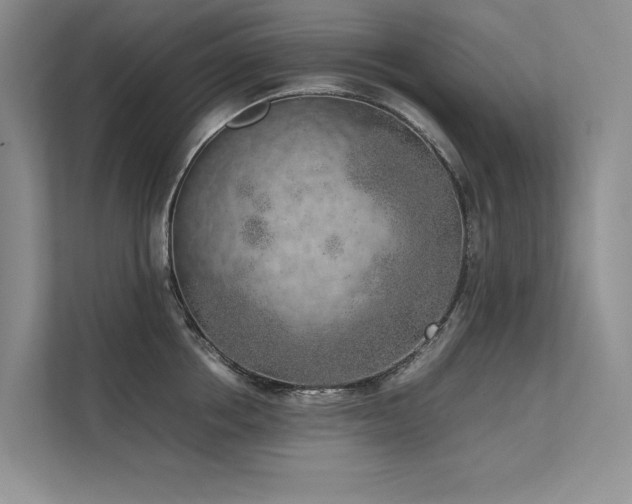 X0000111630858200907171525