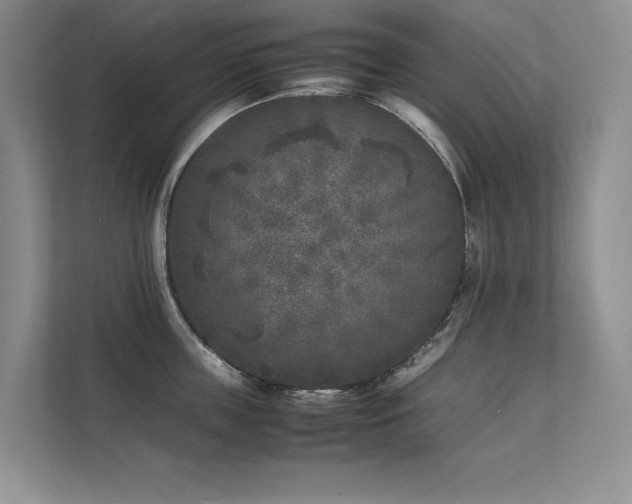 X0000111630859200907171525