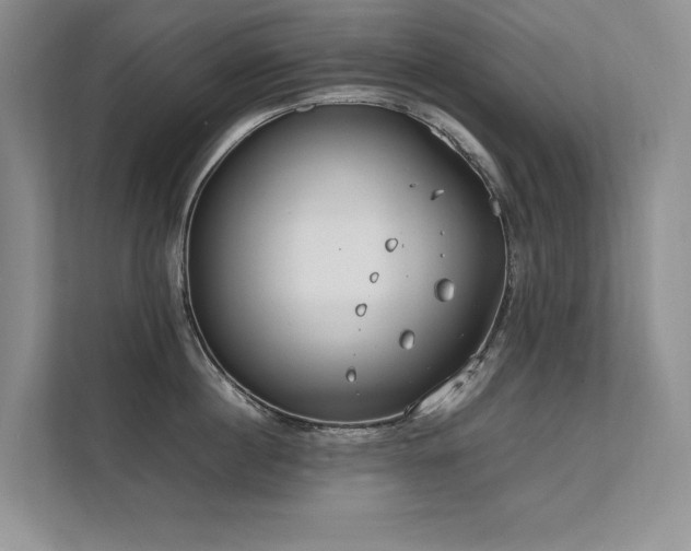 X0000111630860200907171525