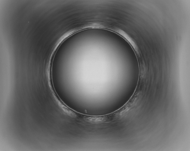 X0000111630861200907171525