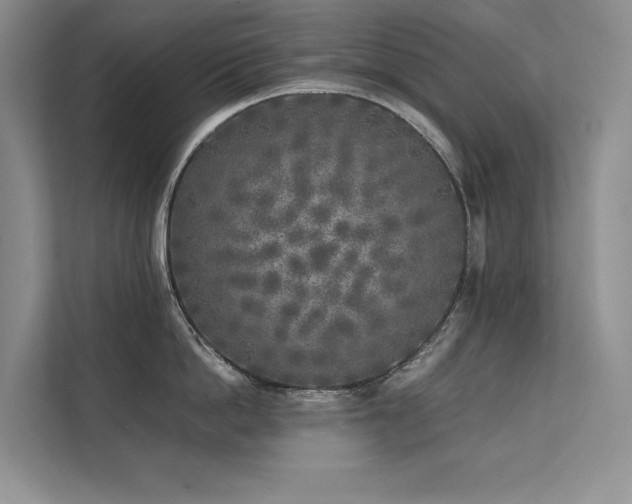X0000111630862200907171525