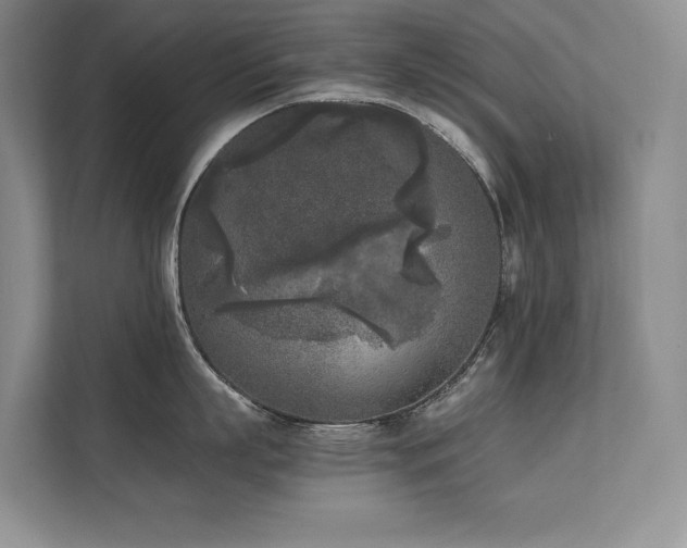 X0000111630863200907171525