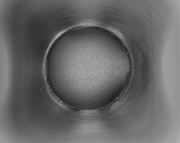 X0000111630864200907171525
