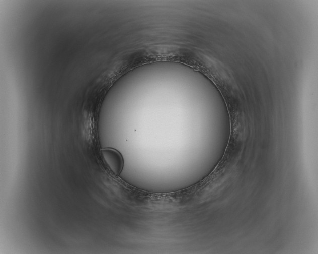 X0000111630866200907171525