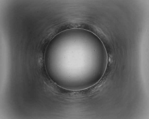 X0000111630867200907171525