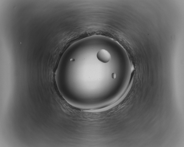 X0000111630868200907171525