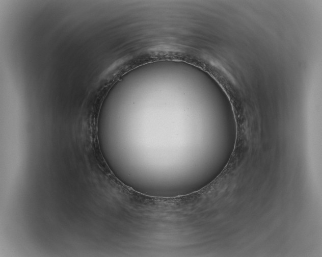 X0000111630870200907171525