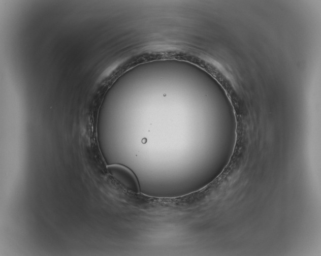 X0000111630871200907171525