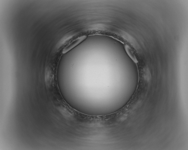 X0000111630872200907171525