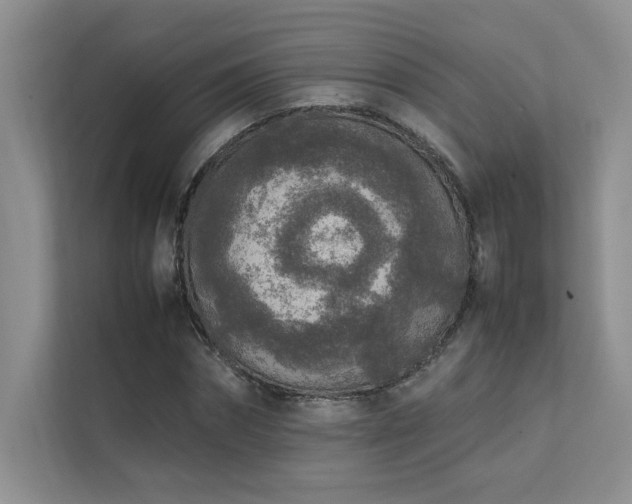 X0000111630874200907171524