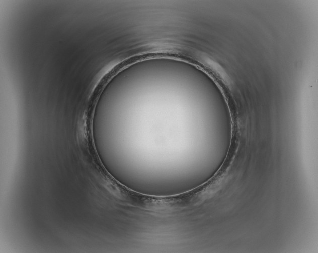 X0000111630875200907171524