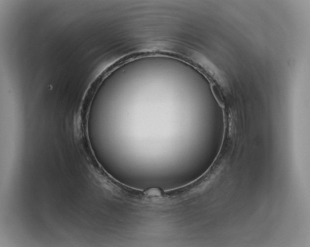 X0000111630876200907171524