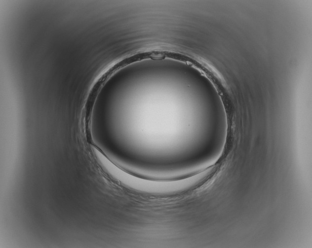 X0000111630877200907171524