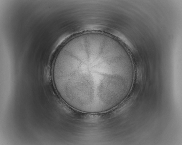 X0000111630878200907171524