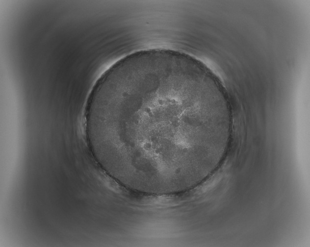 X0000111630879200907171524