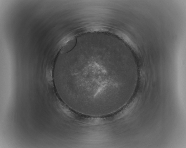 X0000111630881200907171524