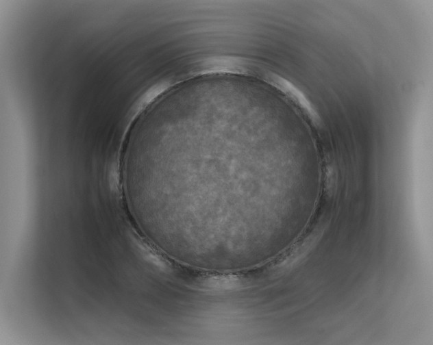 X0000111630882200907171524