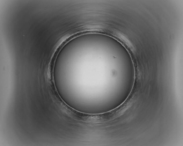 X0000111630883200907171524