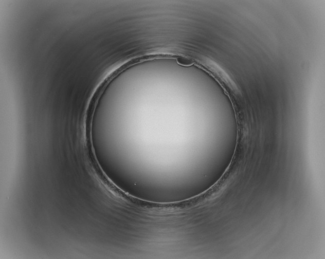 X0000111630884200907171524