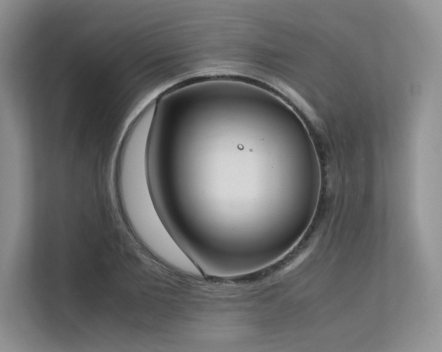 X0000111630885200907171524