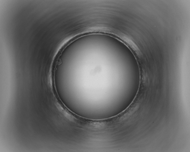 X0000111630888200907171524