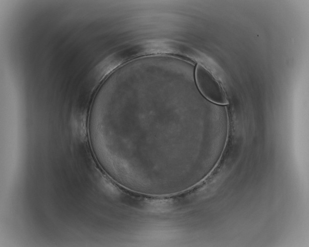 X0000111630889200907171524