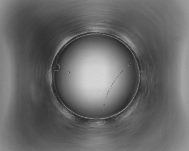 X0000111630891200907171524