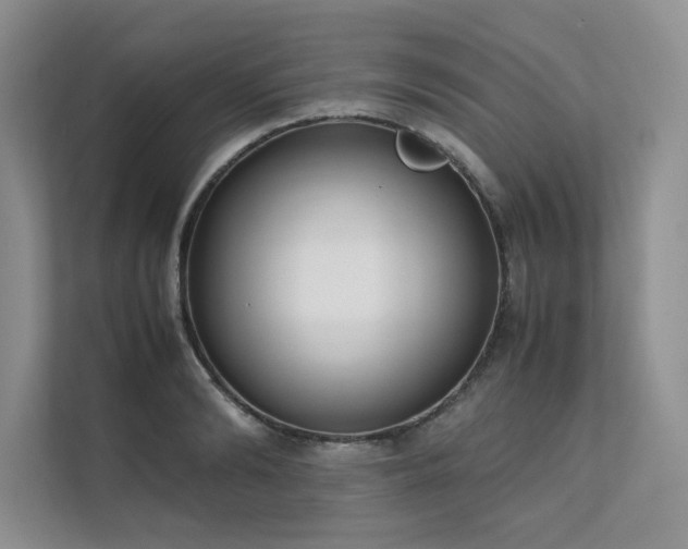 X0000111630894200907171524