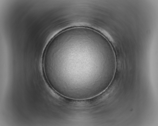X0000111630895200907171524