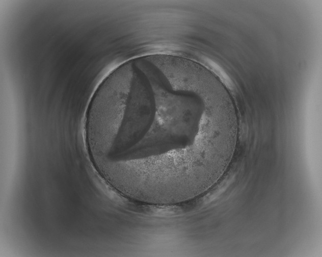 X0000111630899200907171524