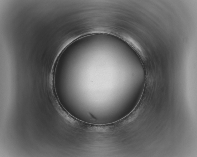 X0000111630900200907171524