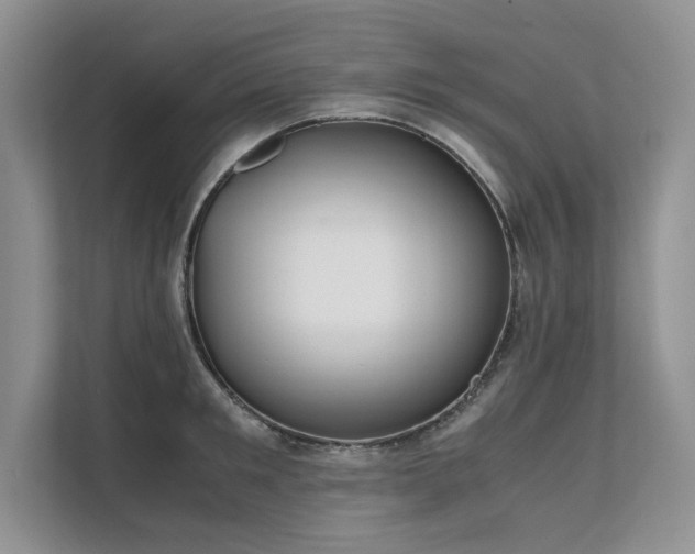 X0000111630901200907171524
