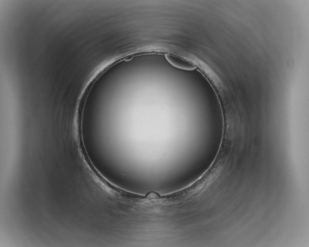 X0000111630902200907171524