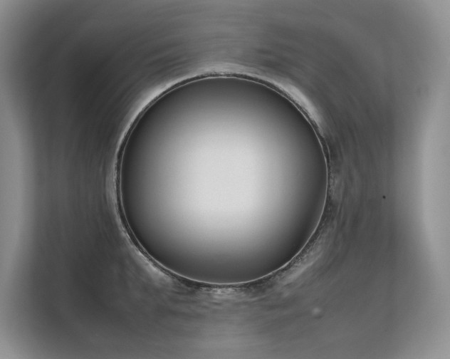 X0000111630903200907171524
